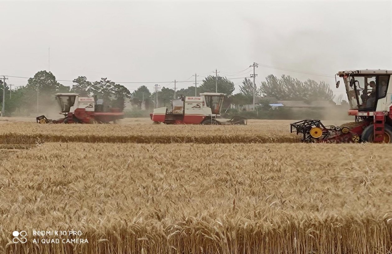 富硒面粉收购（面粉收购富硒粉厂家）-硒宝网