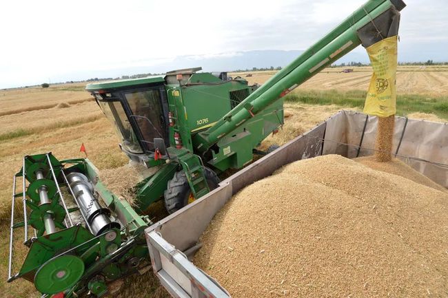 富硒面粉收购（面粉收购富硒粉厂家）-硒宝网