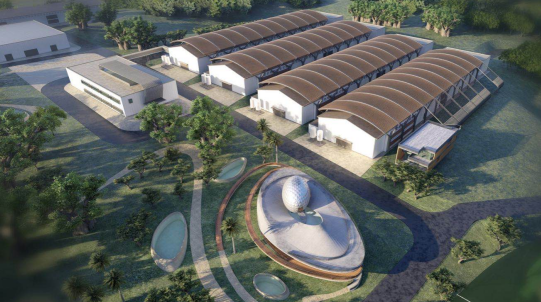 富硒原麦面粉(富硒麦片的功效)-硒宝网