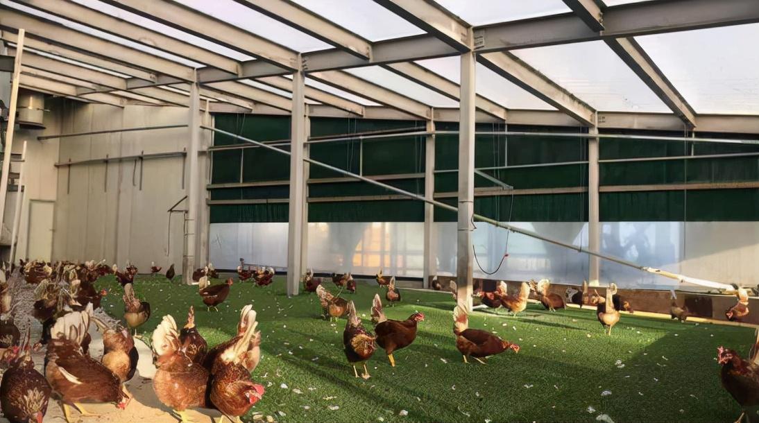 富硒原麦面粉(富硒麦片的功效)-硒宝网