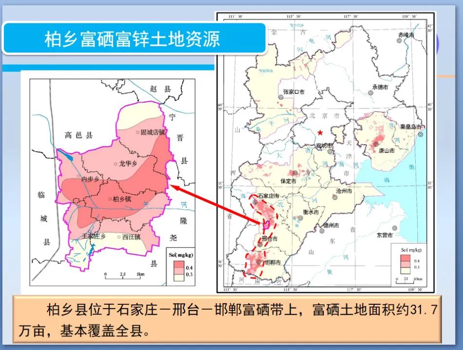 石磨面粉富硒(面粉石磨富硒的作用)-硒宝网