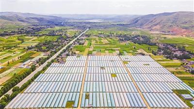 富硒荞麦面粉(荞麦面含硒吗)-硒宝网