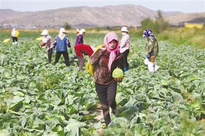 富硒荞麦面粉(荞麦面含硒吗)-硒宝网
