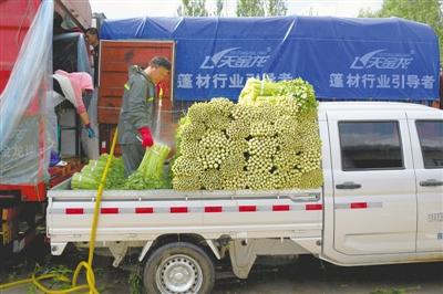 富硒荞麦面粉(荞麦面含硒吗)-硒宝网