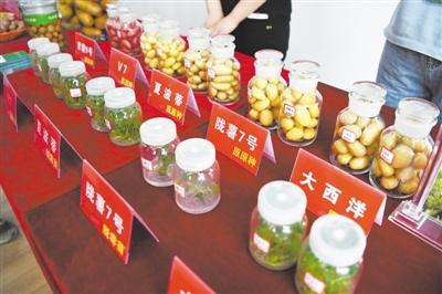 富硒荞麦面粉(荞麦面含硒吗)-硒宝网