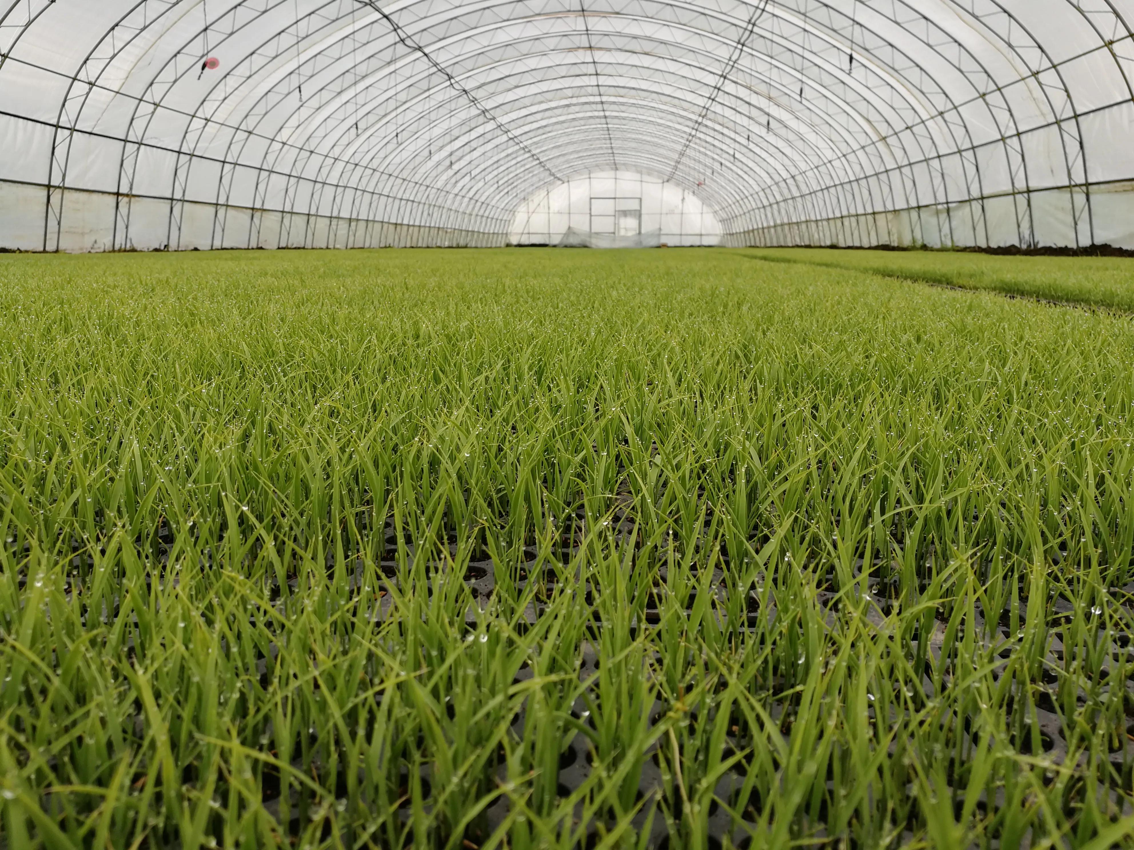 富硒面粉袋子（富硒面粉怎样吃好吃）-硒宝网