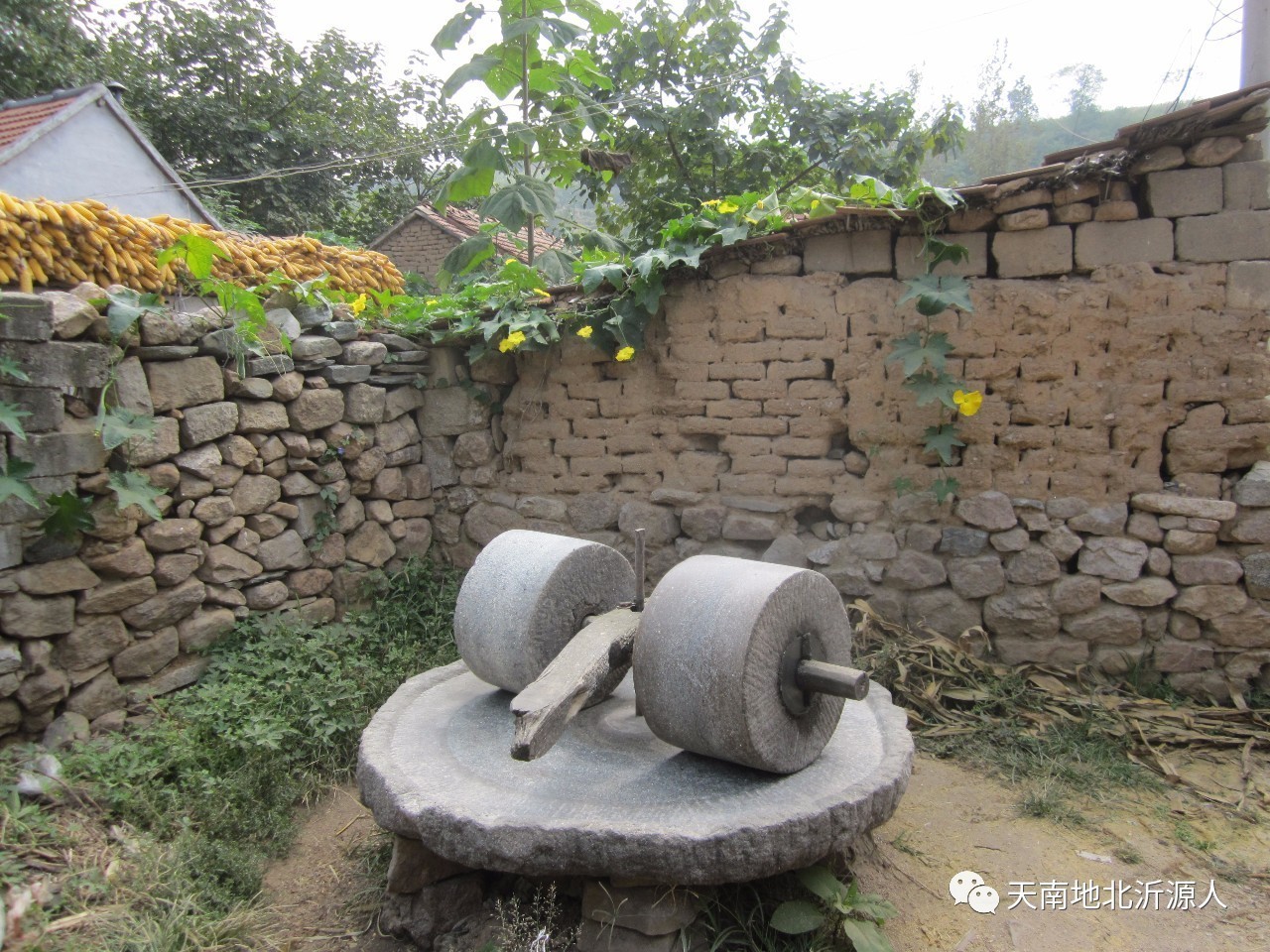 富硒自磨面粉(富硒面粉可以做面包吗)-硒宝网