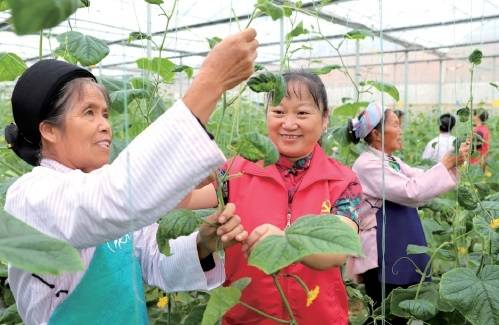 乌山富硒蔬菜（富硒蔬菜是什么）-硒宝网