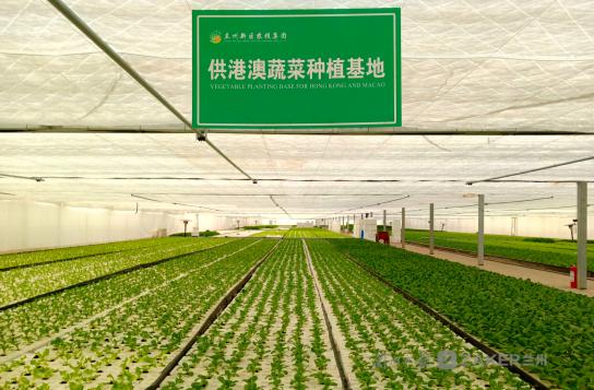 富硒蔬菜优点(富硒蔬菜的好处)-硒宝网