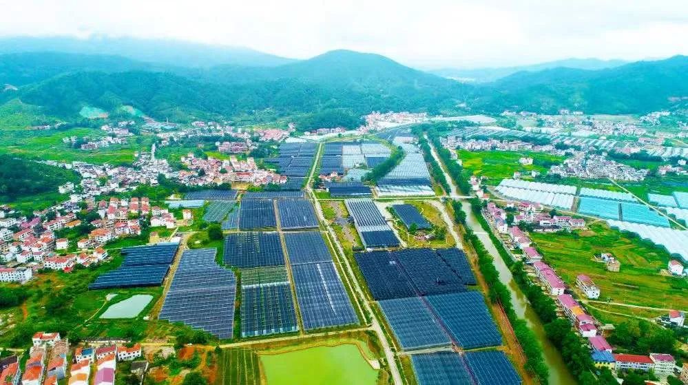 种植富硒蔬菜（富硒地种的菜真那么值钱吗）-硒宝网