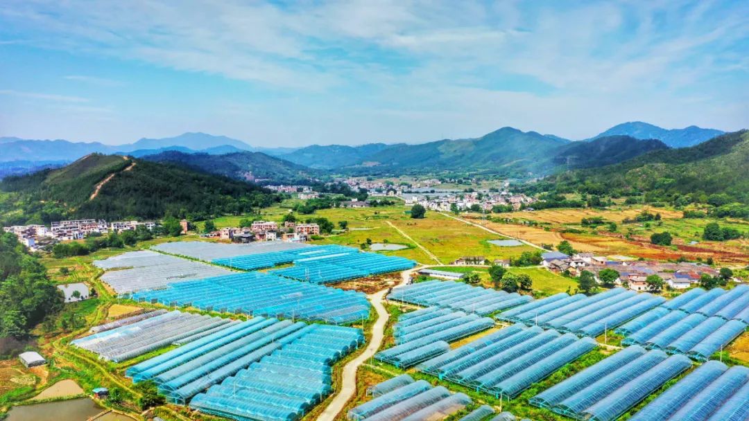 种植富硒蔬菜（富硒地种的菜真那么值钱吗）-硒宝网