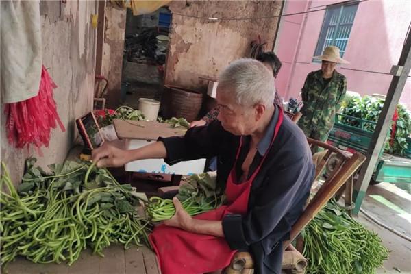 富硒蔬菜优点（蔬菜富硒标准是多少）-硒宝网