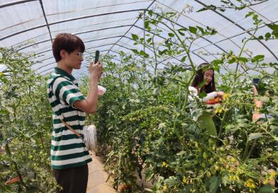 富硒蔬菜讲座（蔬菜怎么富硒）-硒宝网