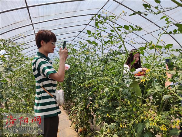 富硒蔬菜讲座（蔬菜怎么富硒）-硒宝网