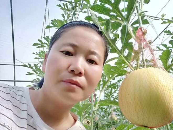 富硒蔬菜致富（富硒的蔬菜）-硒宝网