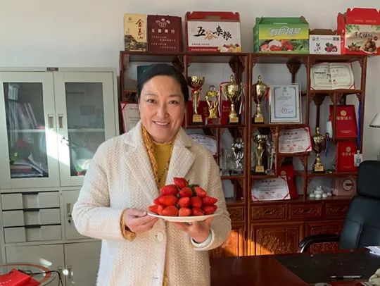 富硒蔬菜致富（富硒的蔬菜）-硒宝网