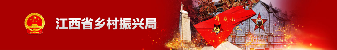 种植富硒蔬菜(蔬菜种植富硒的作用)-硒宝网