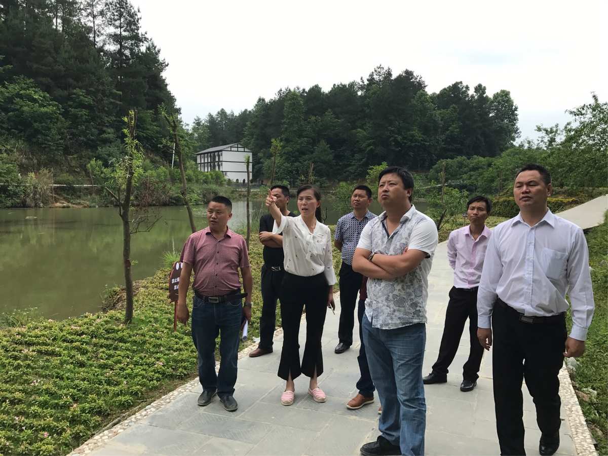 丰城富硒蔬菜(丰城富硒土壤分布)-硒宝网