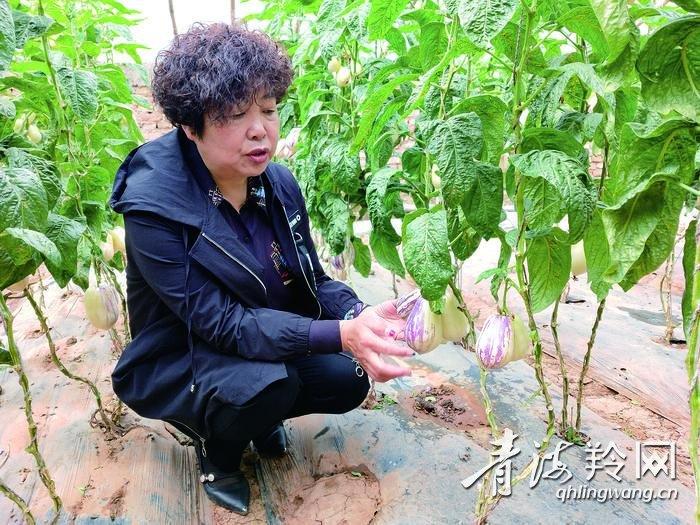 富硒蔬菜夏季（富硒蔬菜水果）-硒宝网