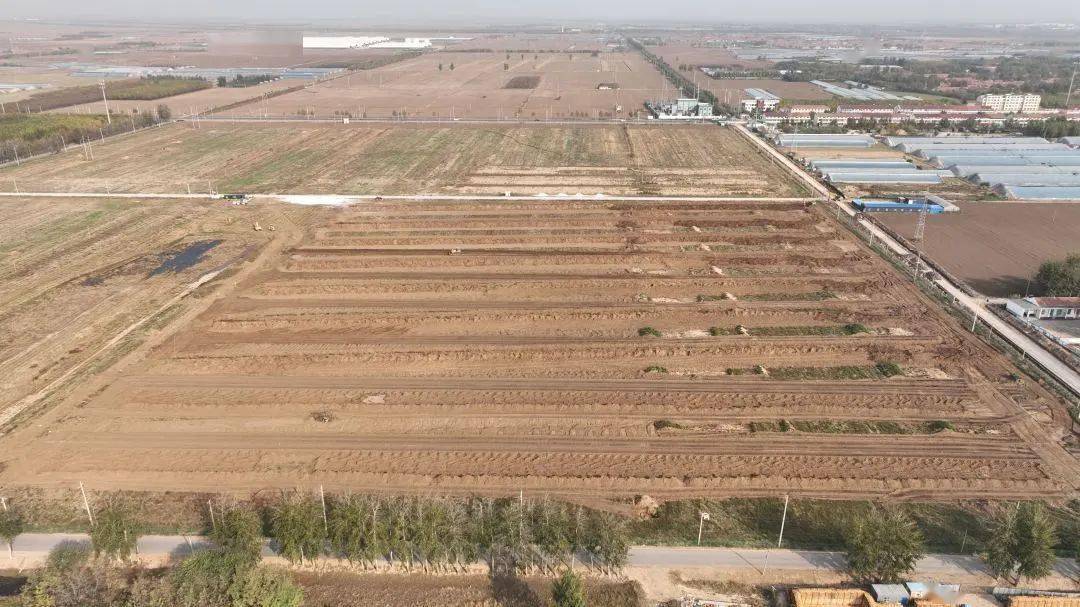 富硒蔬菜营销（蔬菜富硒标准是多少）-硒宝网