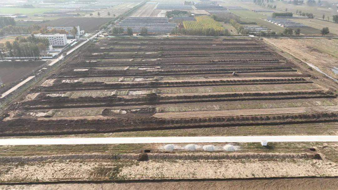 富硒蔬菜营销（蔬菜富硒标准是多少）-硒宝网