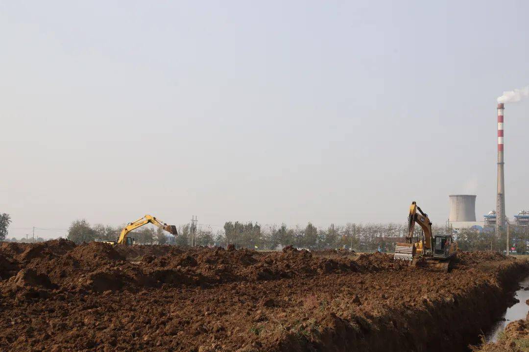 富硒蔬菜营销（蔬菜富硒标准是多少）-硒宝网