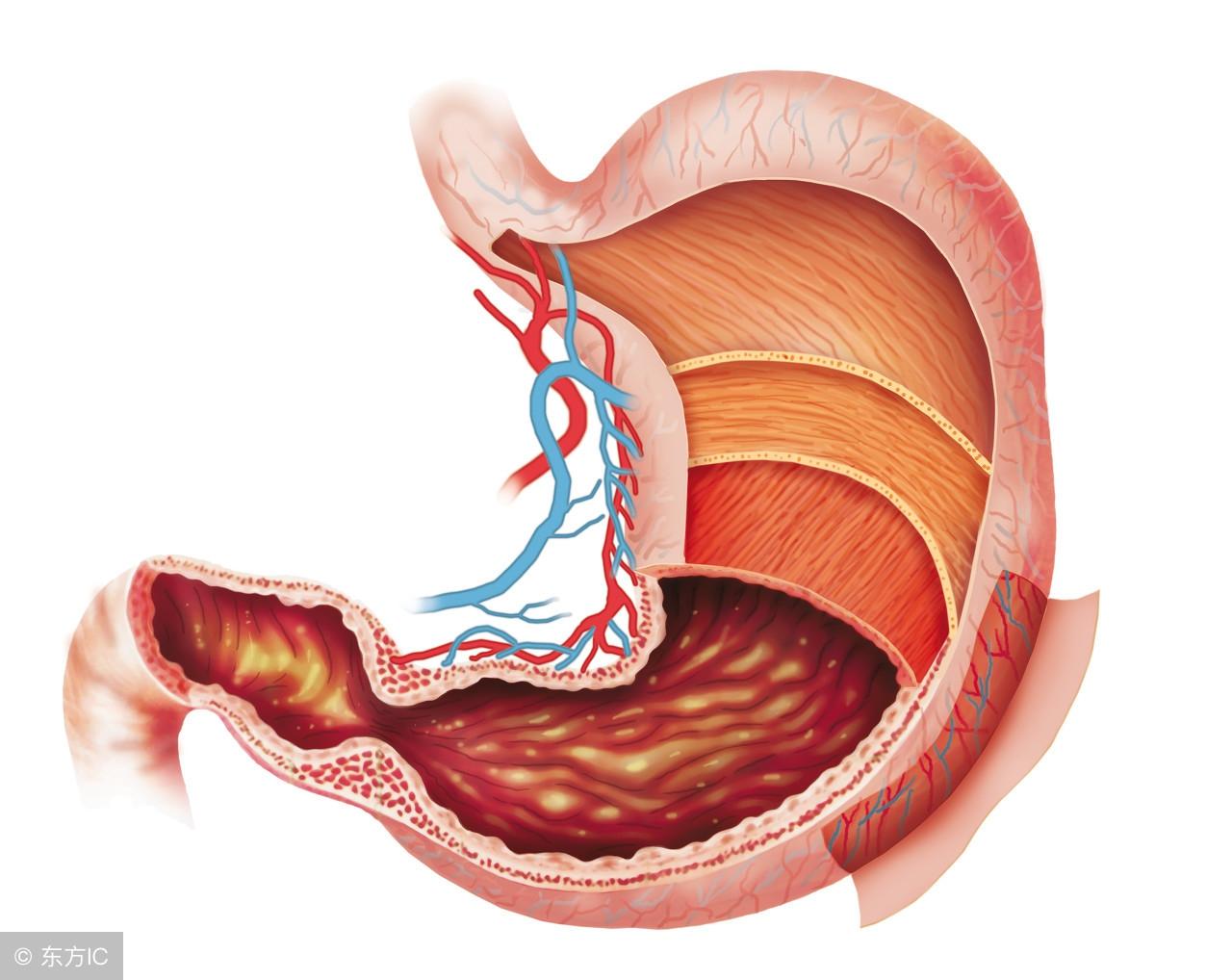大便黑色证明补铁吸收(大便黑色是铁不吸收吗)-硒宝网