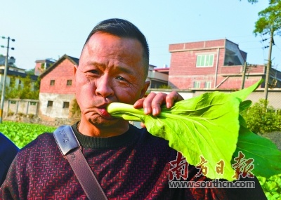 富硒蔬菜营销(蔬菜营销富硒产品方案)-硒宝网