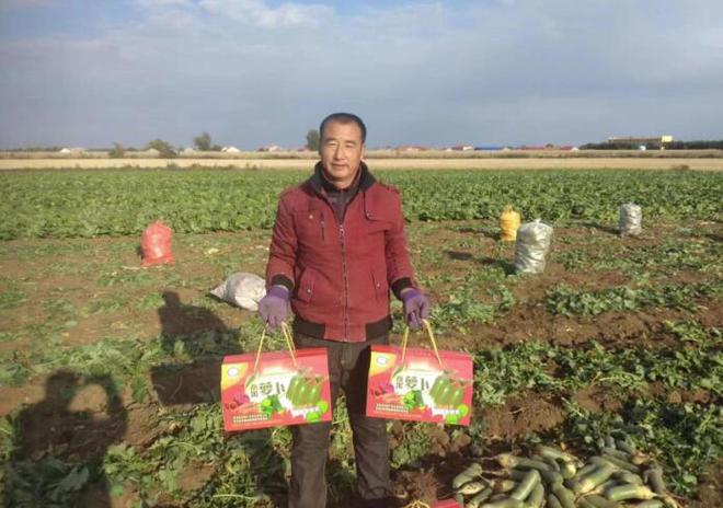 有富硒蔬菜吗(富硒蔬菜有哪些品种)-硒宝网