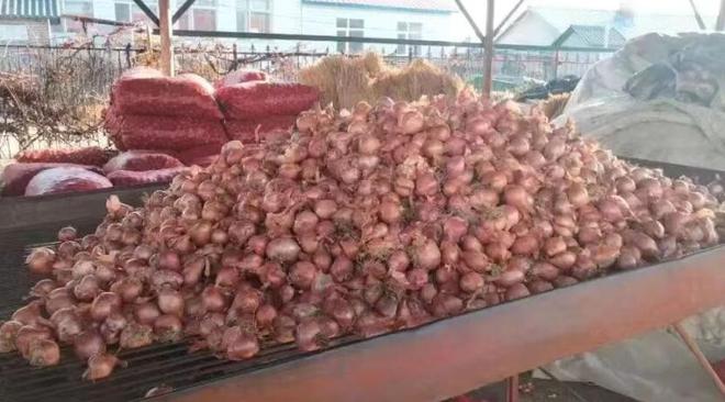 有富硒蔬菜吗(富硒蔬菜有哪些品种)-硒宝网