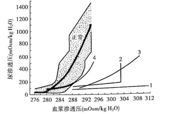 低钠血症简单补钠方法（钠血症怎么改善）-硒宝网