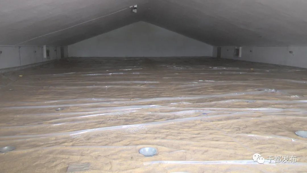 富硒蔬菜大棚(万亩富硒蔬菜基地)-硒宝网