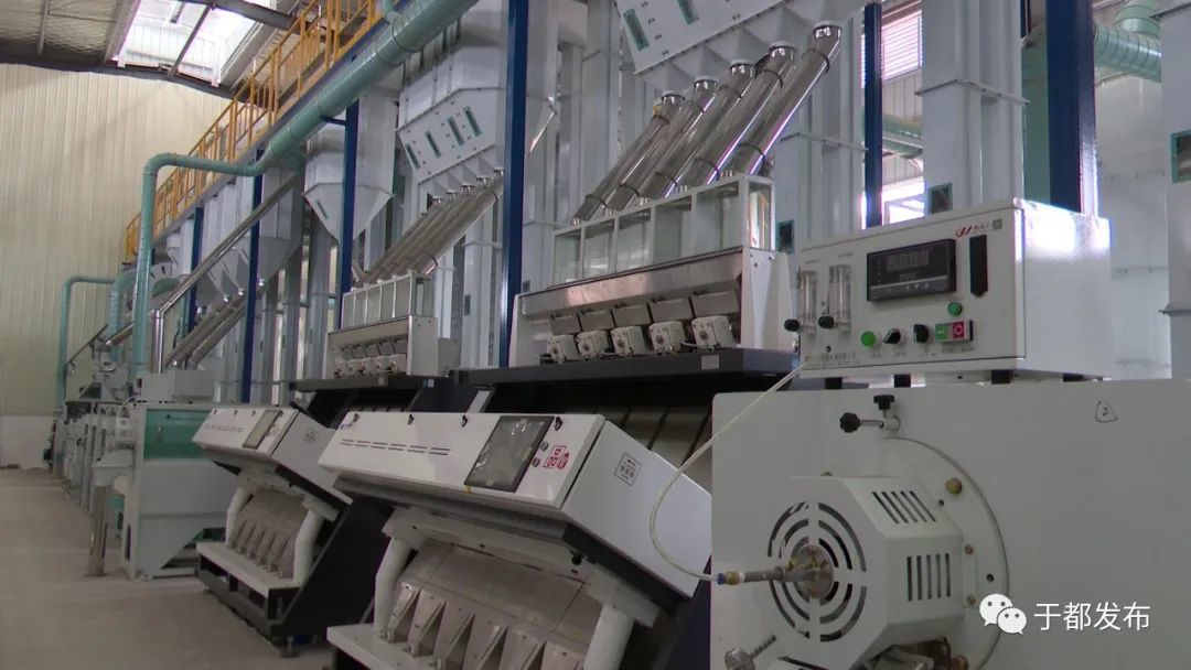 富硒蔬菜大棚(万亩富硒蔬菜基地)-硒宝网