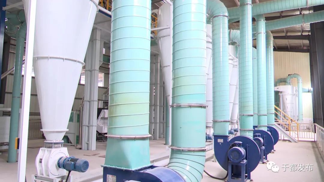 富硒蔬菜大棚(万亩富硒蔬菜基地)-硒宝网