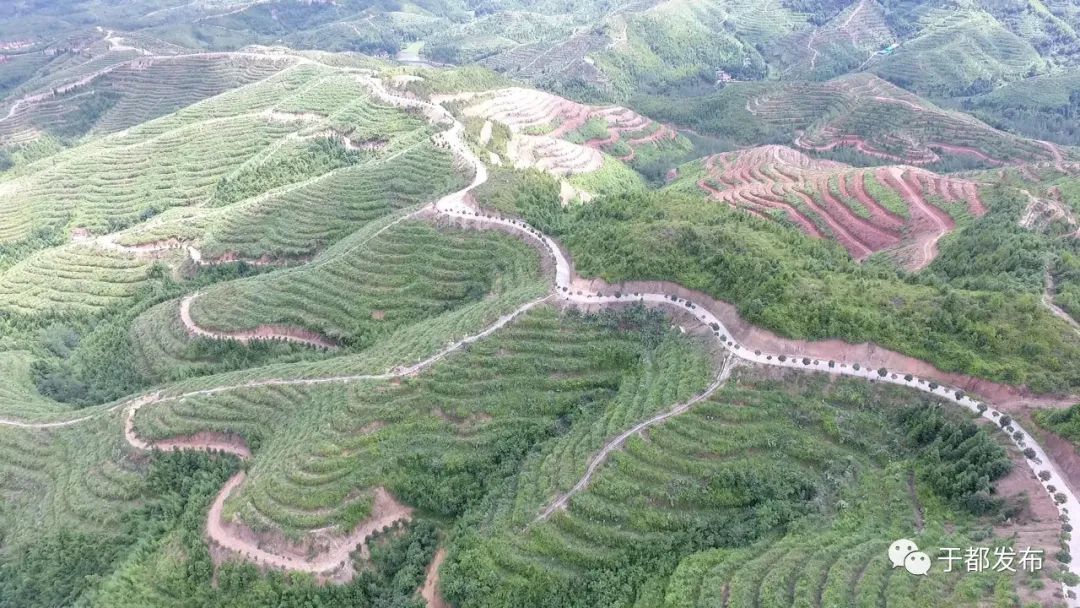 富硒蔬菜大棚(万亩富硒蔬菜基地)-硒宝网
