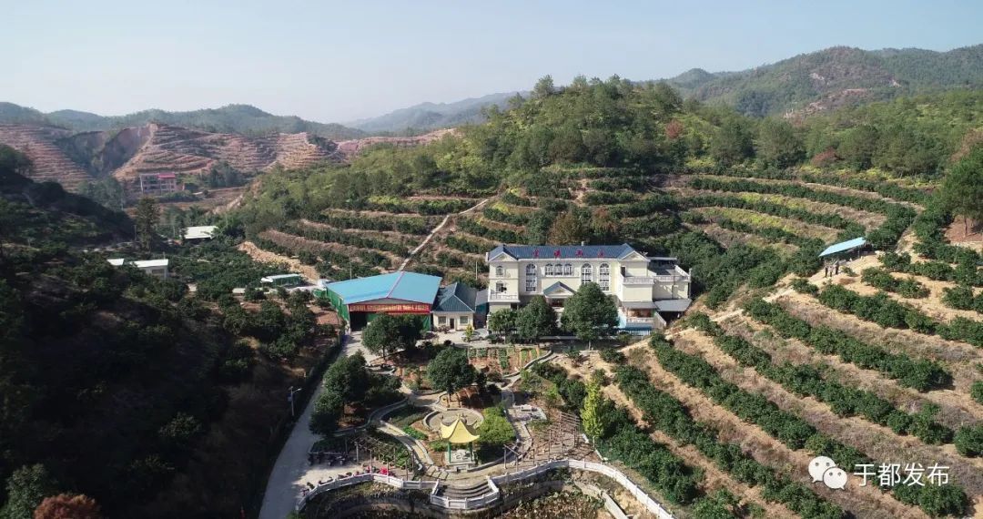 富硒蔬菜大棚(万亩富硒蔬菜基地)-硒宝网