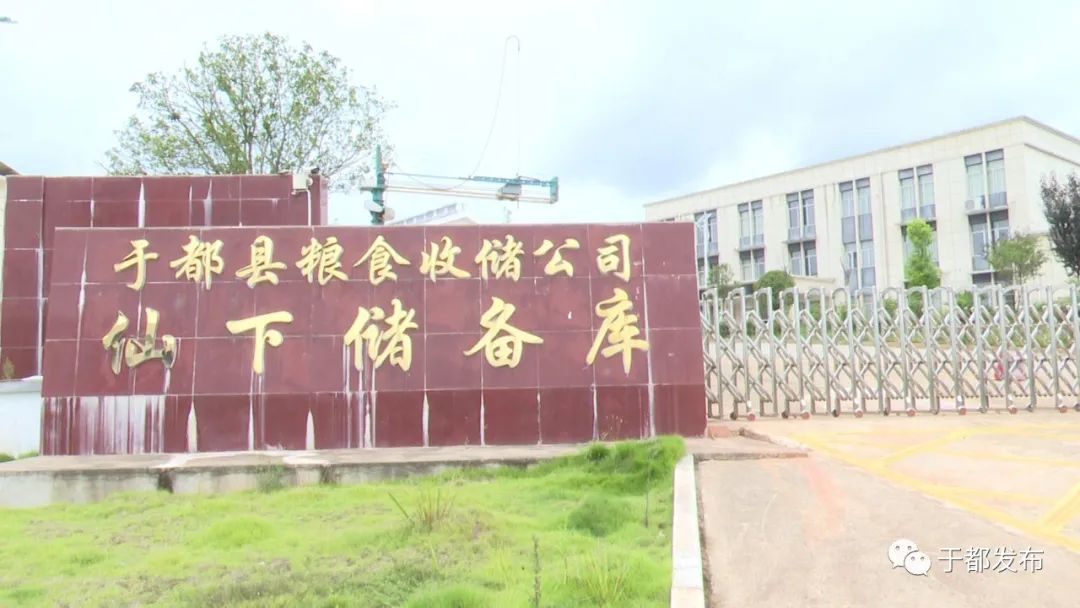 富硒蔬菜大棚(万亩富硒蔬菜基地)-硒宝网