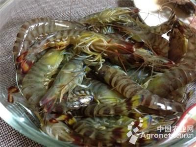 大同富硒蔬菜(富硒蔬菜产业园)-硒宝网