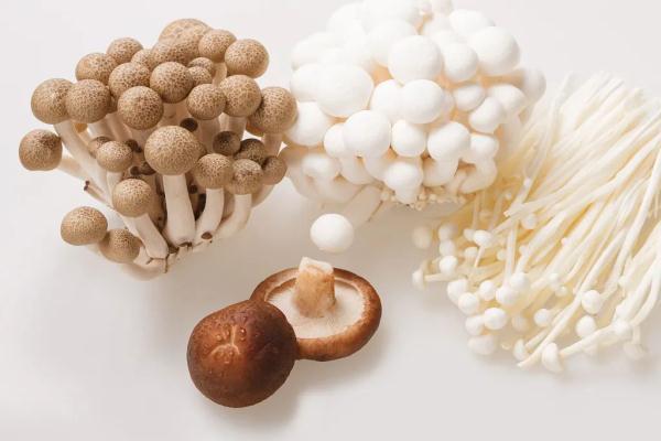 食补铁什么食物最佳(补铁食疗)-硒宝网