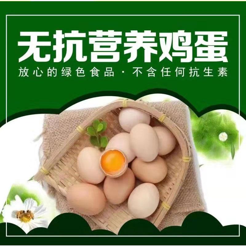 富硒蔬菜养殖(养殖蔬菜富硒有哪些)-硒宝网