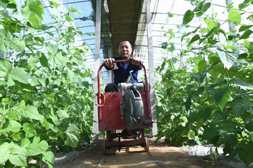 大同富硒蔬菜(大同蔬菜富硒价格)-硒宝网