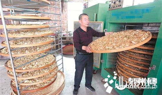 徐州富硒蔬菜（徐州富硒土地）-硒宝网