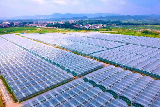 富硒赣南蔬菜(蔬菜赣南富硒产地)-硒宝网