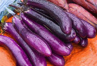 茄子补铁吗（缺铁性贫血吃茄子补铁吗）-硒宝网