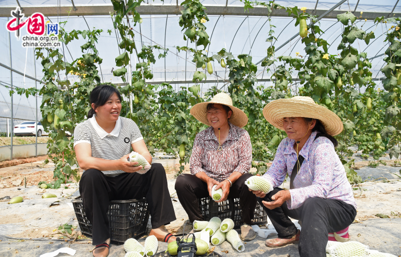 本溪富硒蔬菜(本色农业富硒)-硒宝网