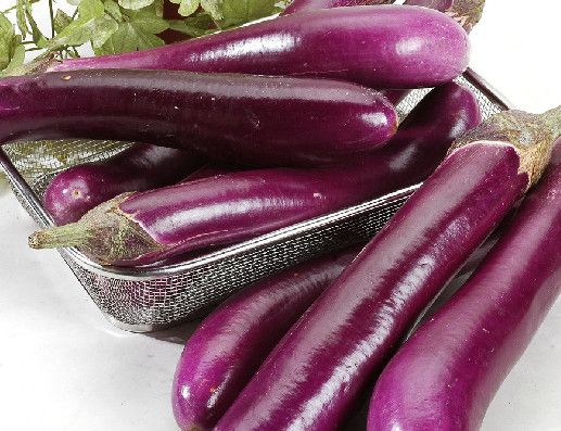 茄子补铁吗(茄子补铁么怎么吃最营养)-硒宝网