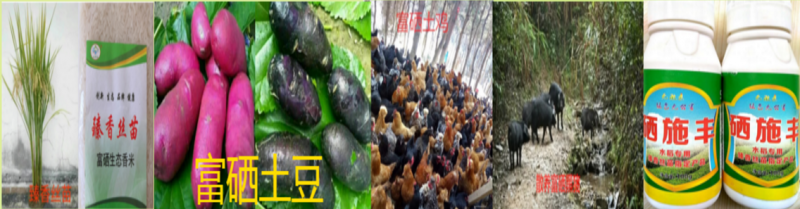 蔬菜富硒试验（蔬菜中硒元素的测定）-硒宝网