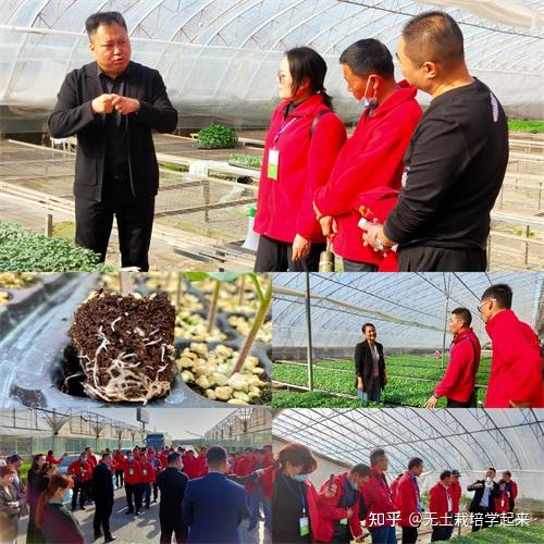 台州富硒蔬菜(万亩富硒蔬菜基地)-硒宝网