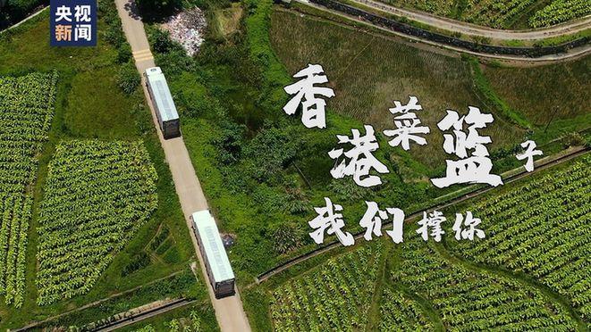 富硒蔬菜英文(f蔬菜英文)-硒宝网