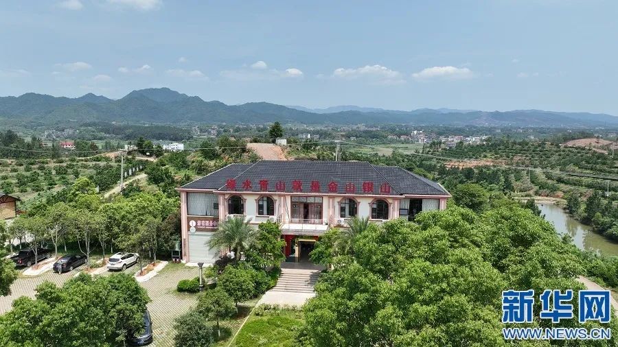 富硒蔬菜项目(蔬菜富硒项目有哪些)-硒宝网